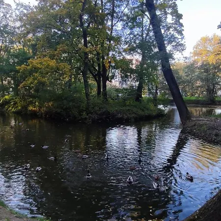 Apartman Gold Greenview Rzeszów