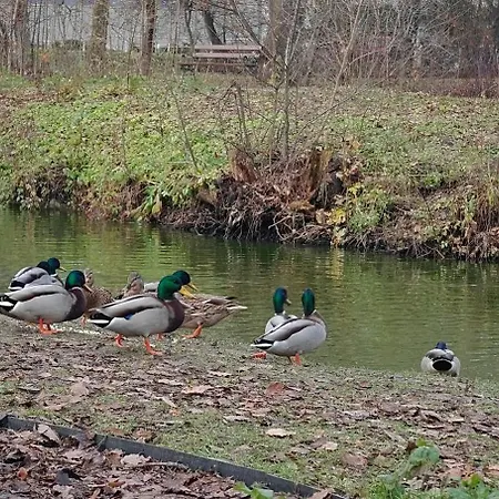 アパート Gold Greenview