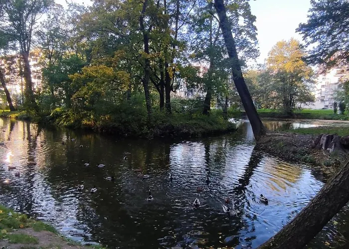 Daire Gold Greenview Rzeszow