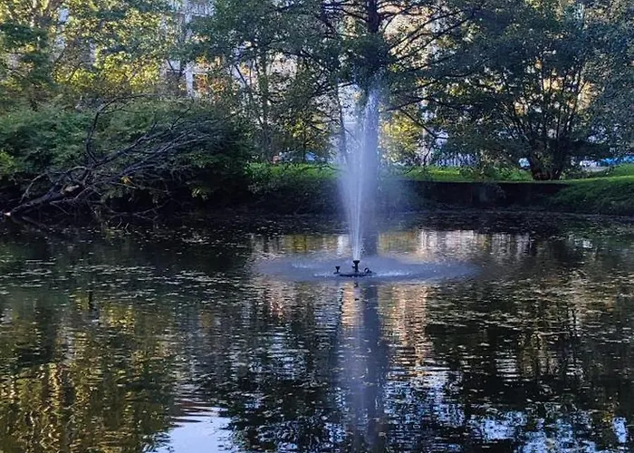 Gold Greenview * Rzeszow