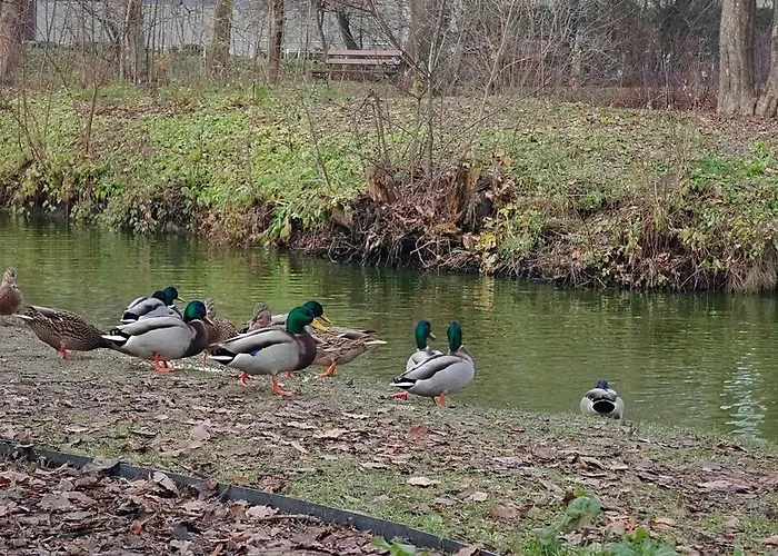 Apartment Gold Greenview